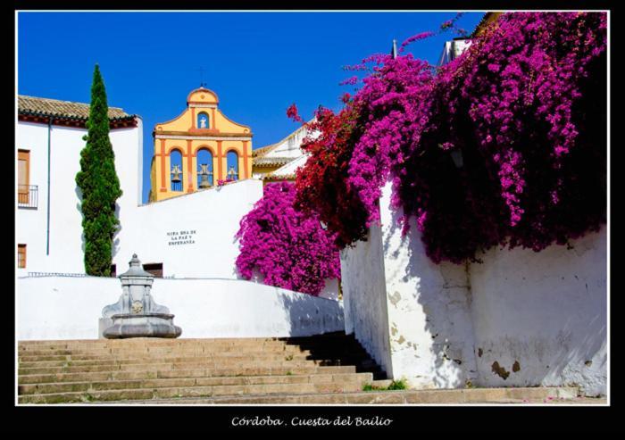 Centro Historico Cristo De Los Faroles La Preferida Cordoba Ngoại thất bức ảnh